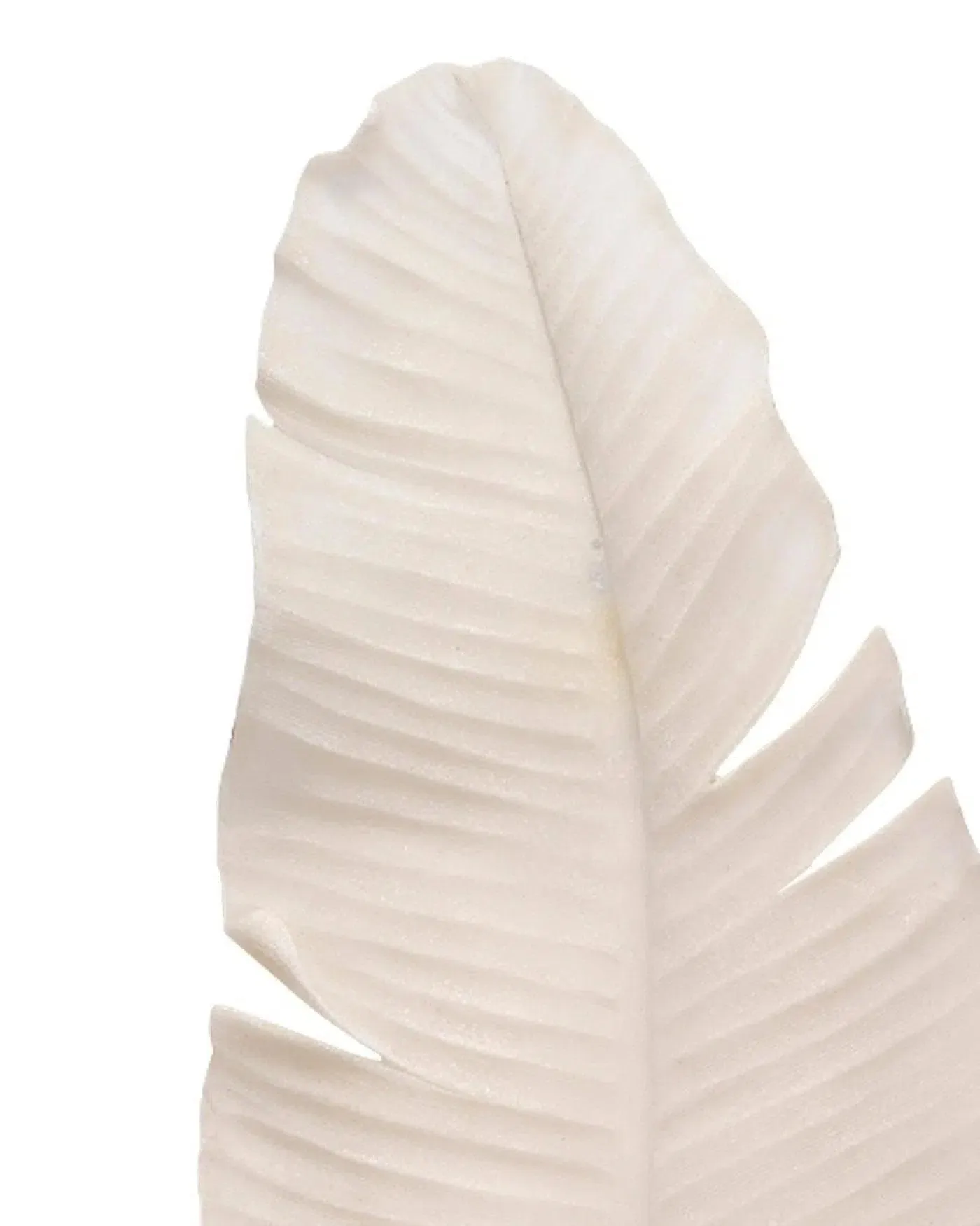 Coastal Style White Polyresin Feather Object