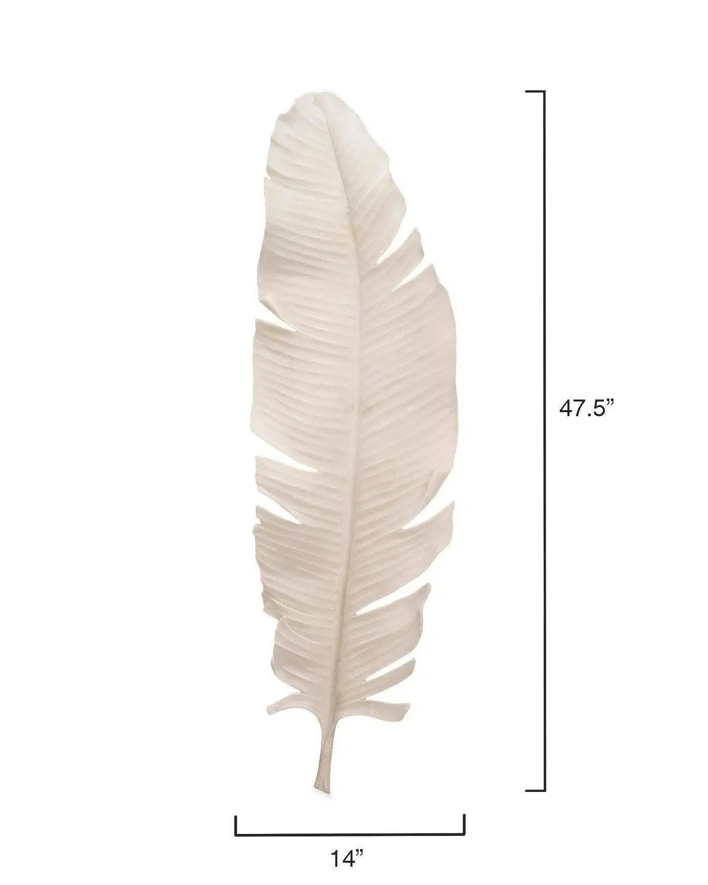 Coastal Style White Polyresin Feather Object