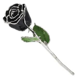 Lacquer Dipped Silver Trimmed Black Natural Preserved Rose