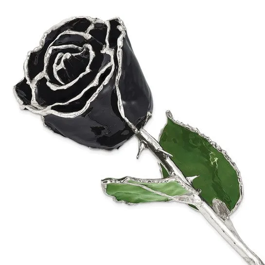 Lacquer Dipped Silver Trimmed Black Natural Preserved Rose