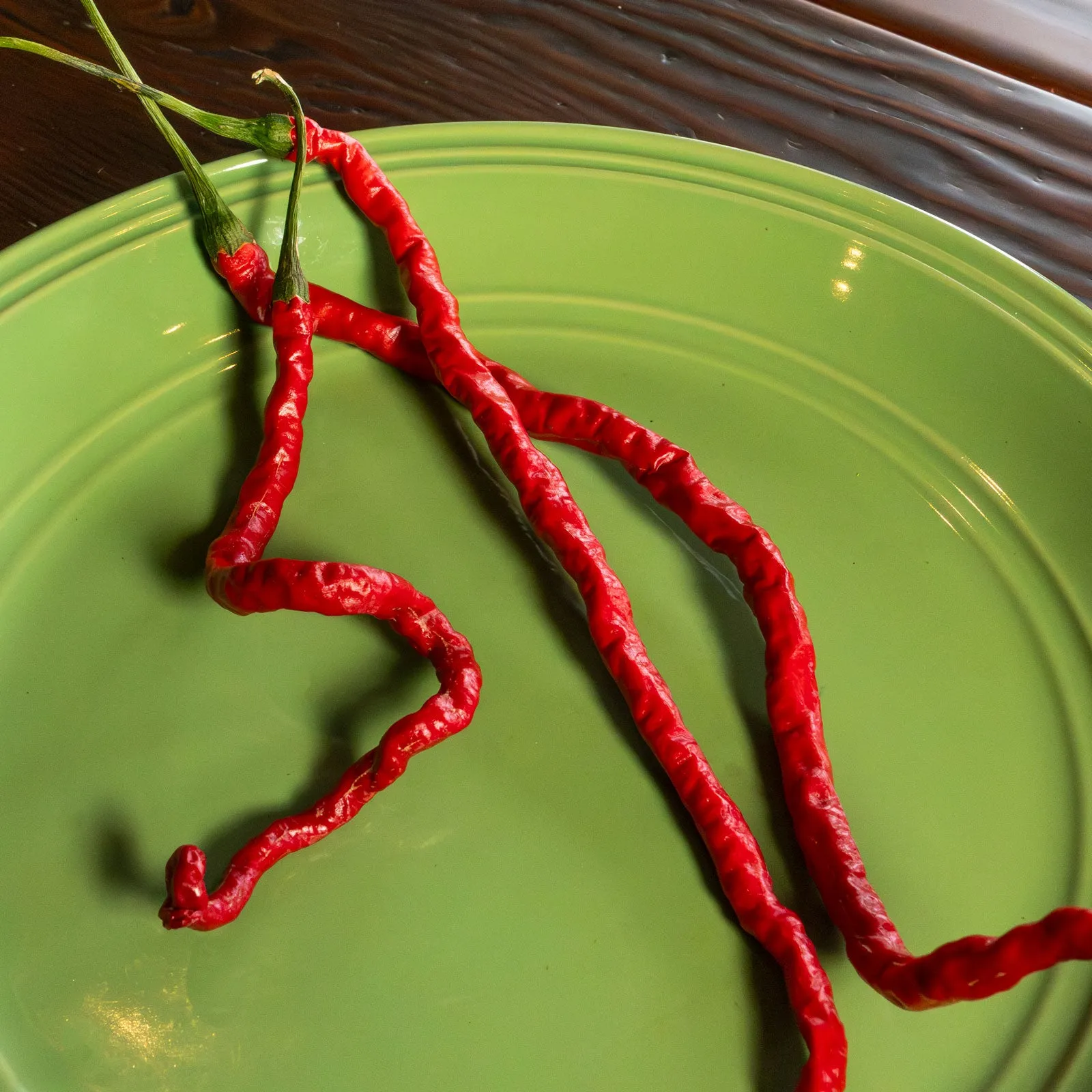 Thunder Mountain Longhorn Pepper Seeds